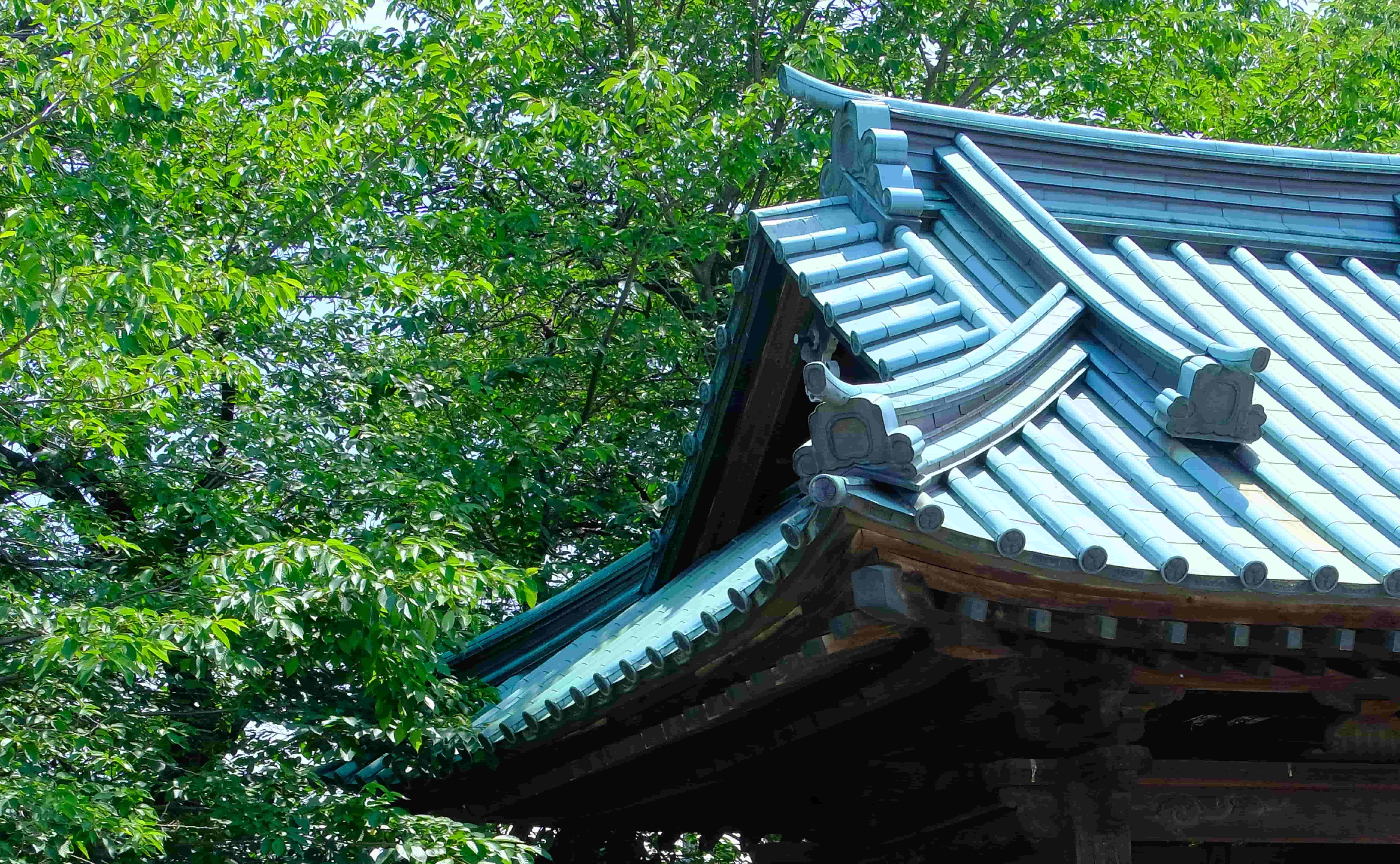 鶴林寺（鶴林寺）公式webサイトトップ